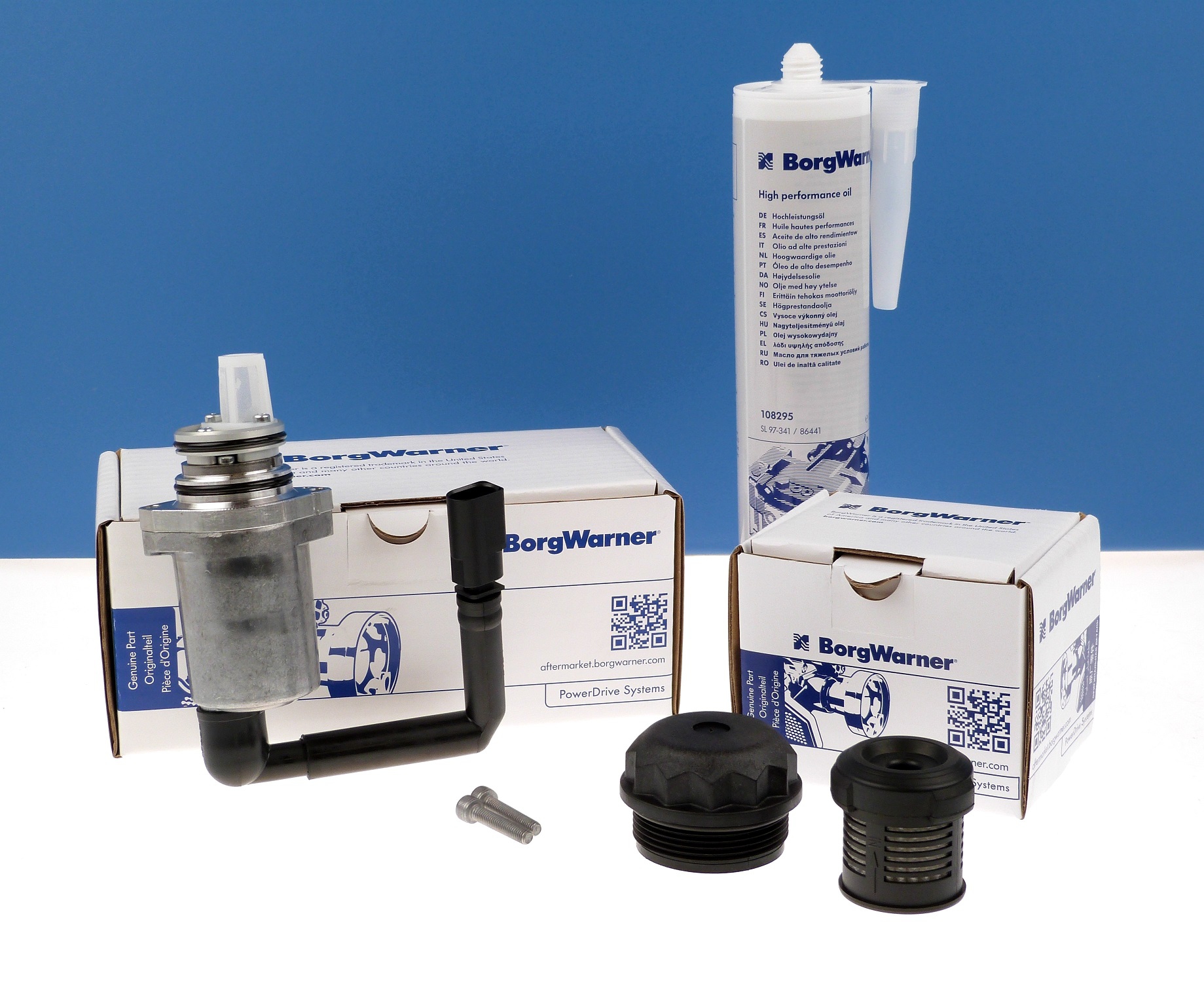 BORGWARNER Pumpe Filter Öl Set Generation I